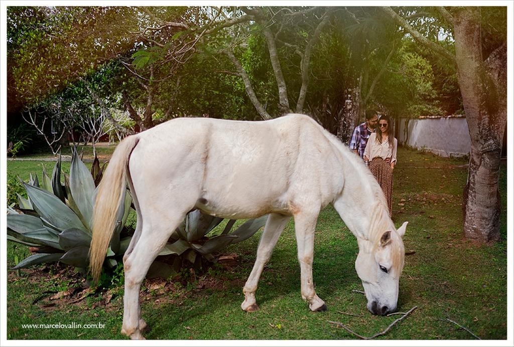 Pousada Fazendinha Buzios Exteriér fotografie