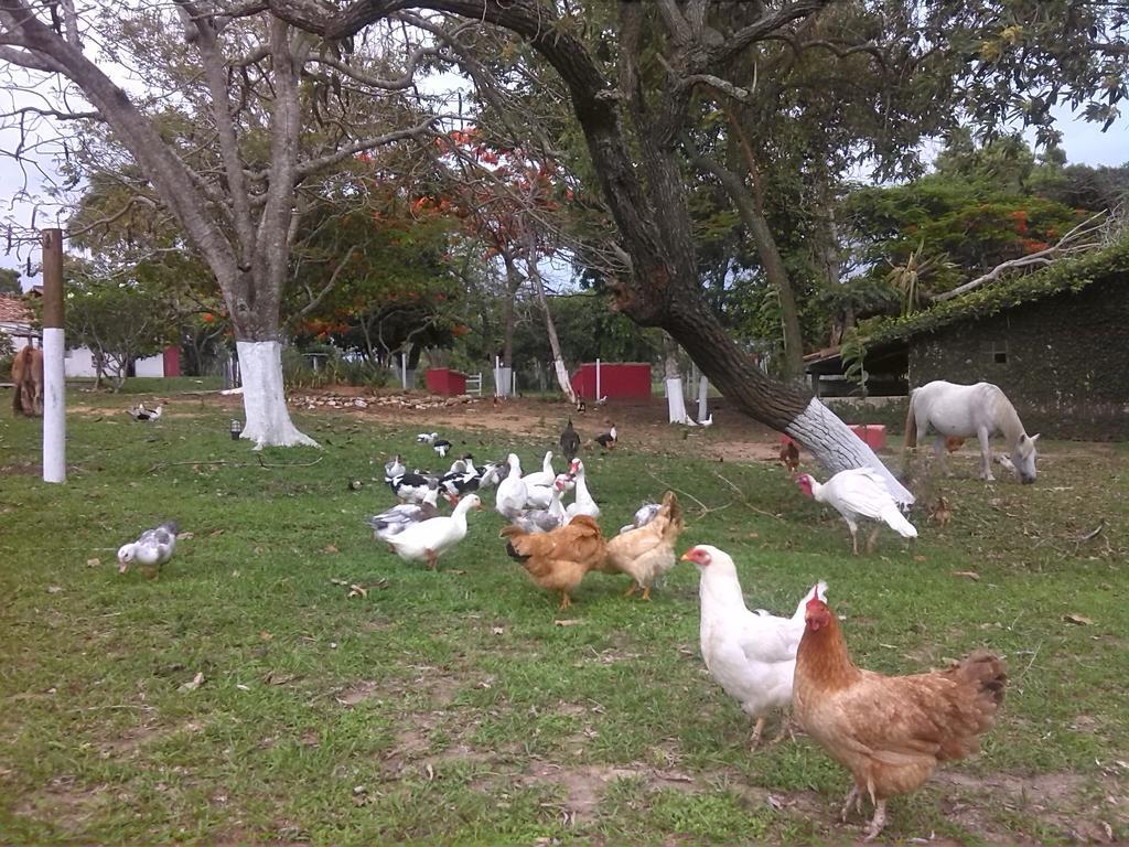 Pousada Fazendinha Buzios Exteriér fotografie